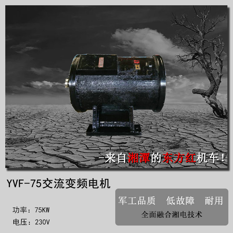 YVF75矿用交流变频牵引电机